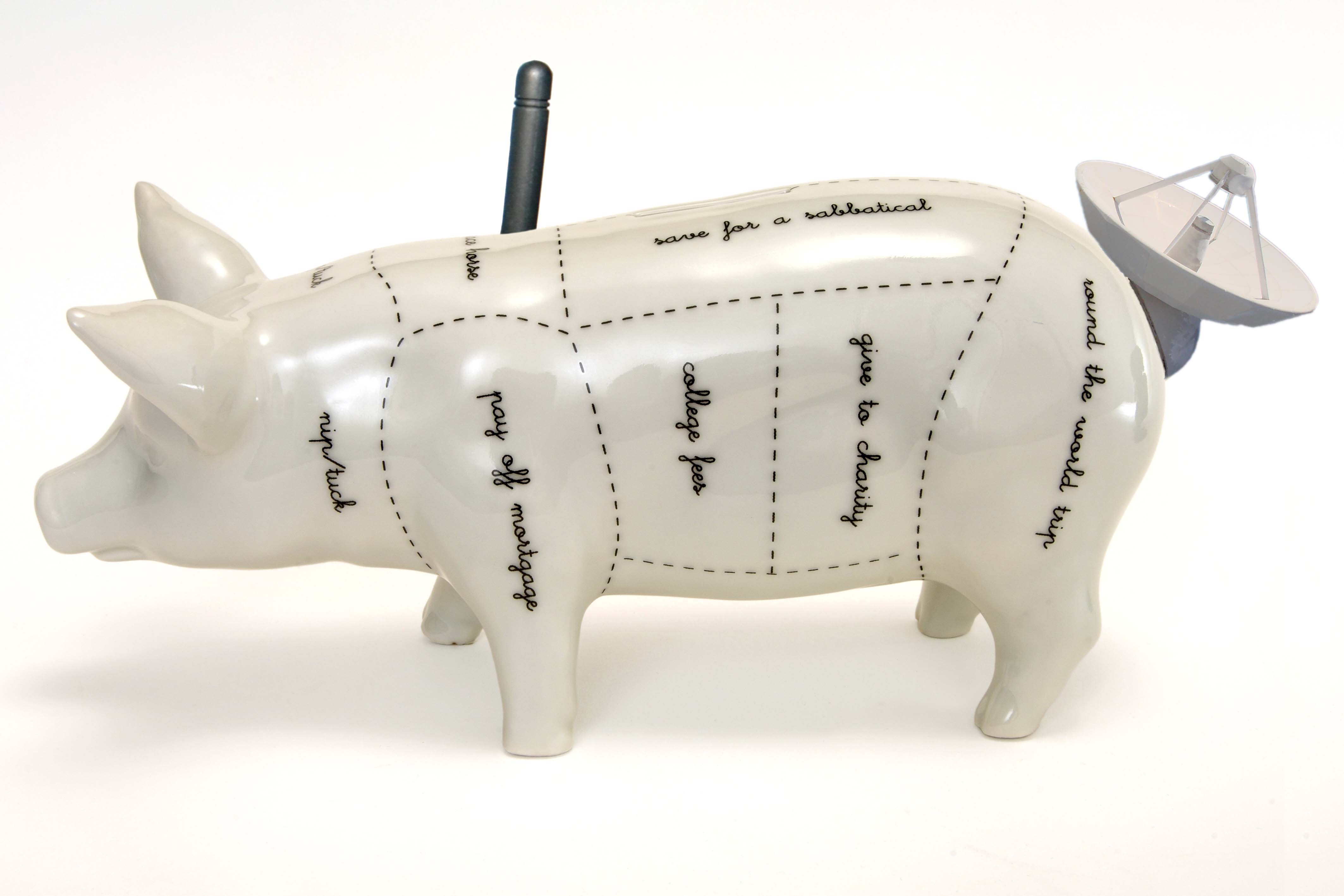 EU WAHN Spar Schwein Piggybank