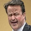 David Cameron englischer Premierminister will ueber EU Austritt abstimmen lassen