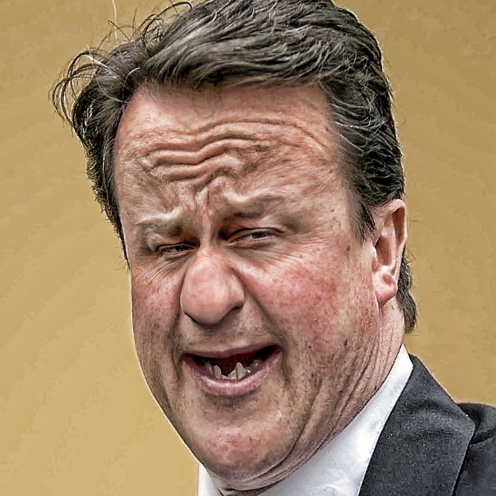 David Cameron englischer Premierminister will ueber EU Austritt abstimmen lassen