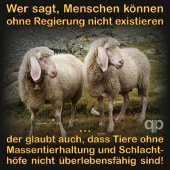 Schafe die glauben menschen oennten nicht ohne Regierung existieren