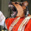meisner joachim kardinal wachhund prediger scharfer hund 100x100 1