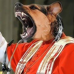 meisner joachim kardinal wachhund prediger scharfer hund 245x245 1