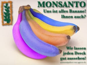 USA drangsaliert El Salvador, Entwicklungshilfe nur bei Kauf von Monsanto-Saatgut monsanto_uns_ist_alles_banane_genfood_mafia