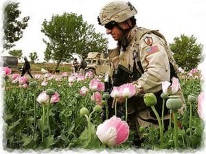 Dank USA: Afghanistan wieder führende Drogenregion CIA Drogenhandel Geheimdienste schwarze Kassen