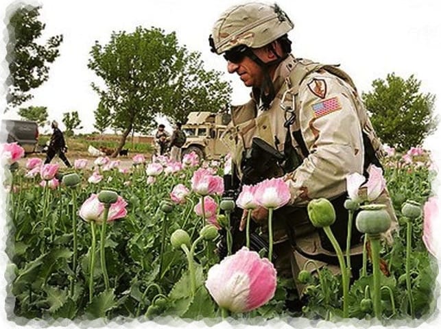 Spenden afghanischer Drogenbarone für deutsche Flutopfer cia_drogen_anbau_bundeswehr_schutz_mohnfelder_afghanistan
