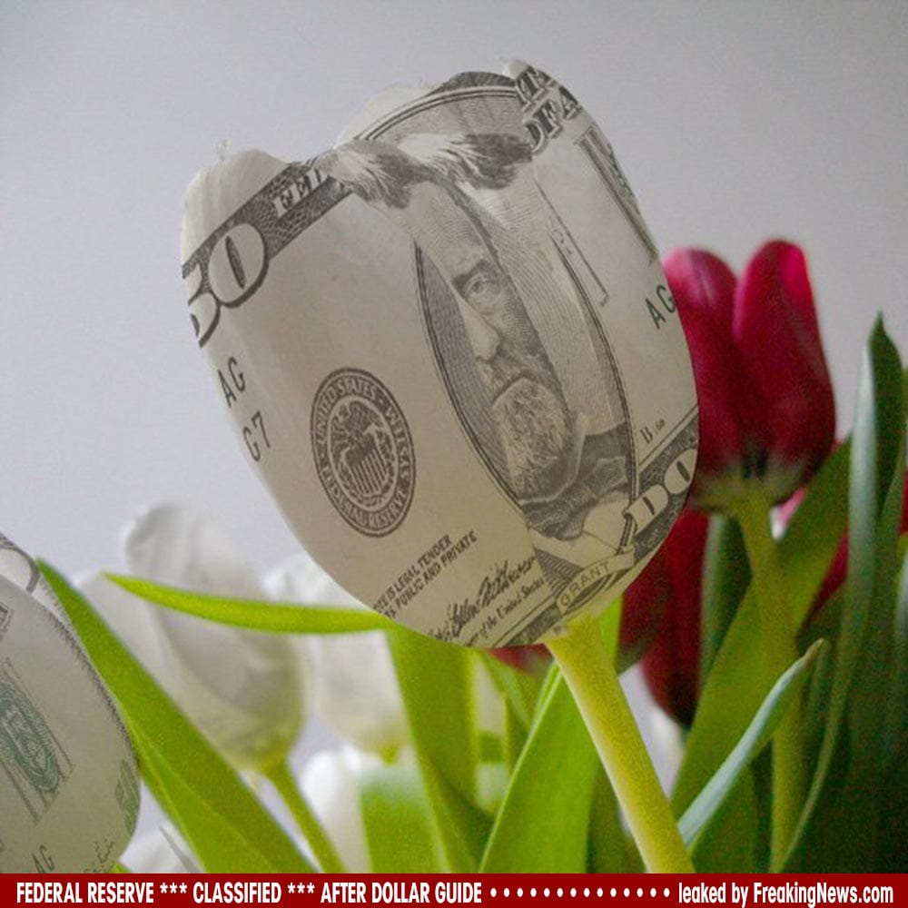 Dollar-Money-Tulip-tulpe-blueten-falschgeld-fake