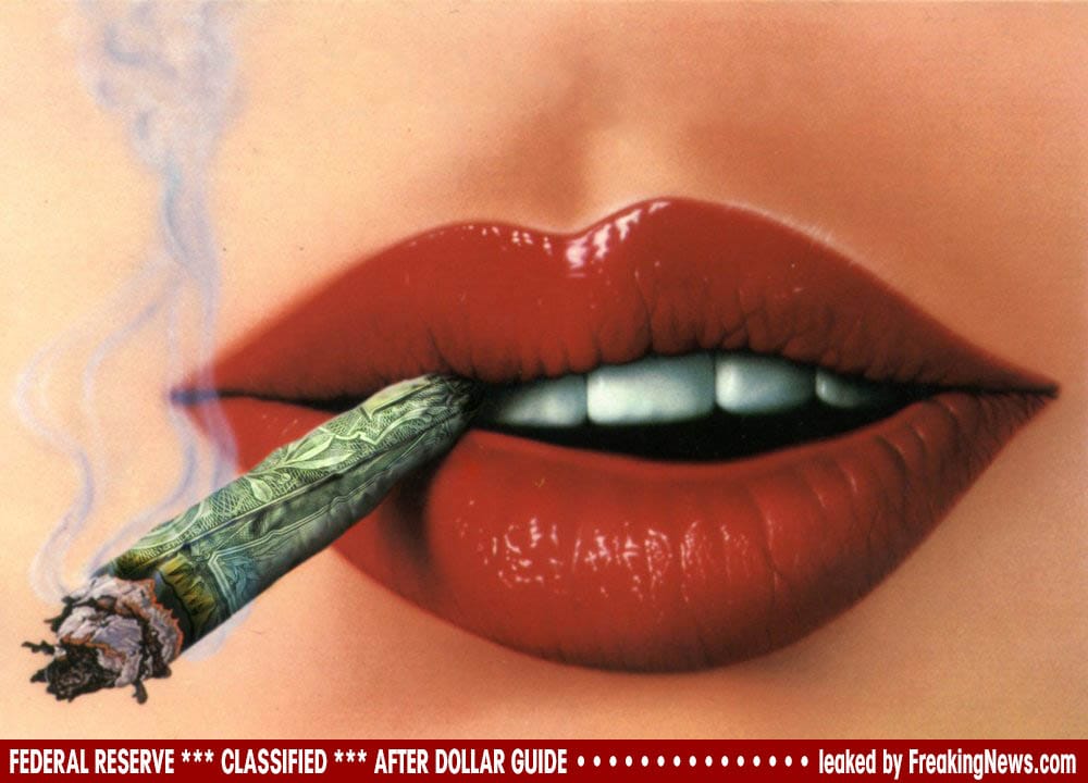 Dollar-Smoking-rauchen-geld verbrennen entwertung