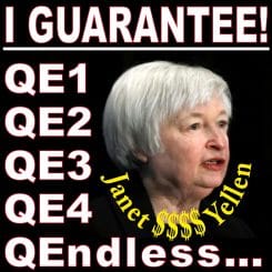 Yellen Janet new Governor chief Chairman of the federal reserve board fed in 2014