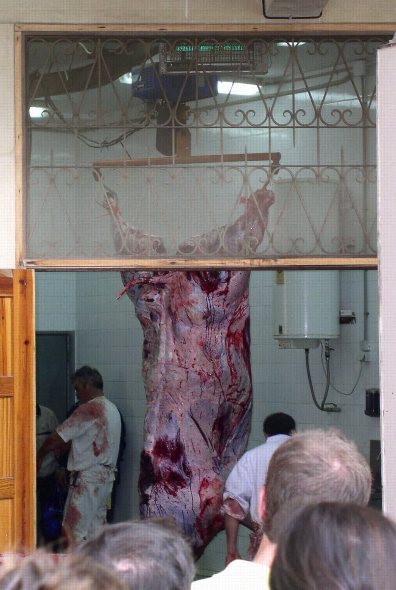Völkermord statt Stierkampf als Weltkulturerbe der UNESCO
