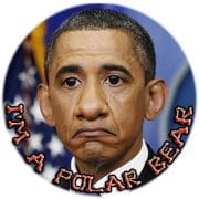 Obama setzt auf Militär und Überlegenheit beim Kampf gegen Klimawandel United States Polar Bear petition for free alaska russia speech barack hussein obama autonom release independent qpress