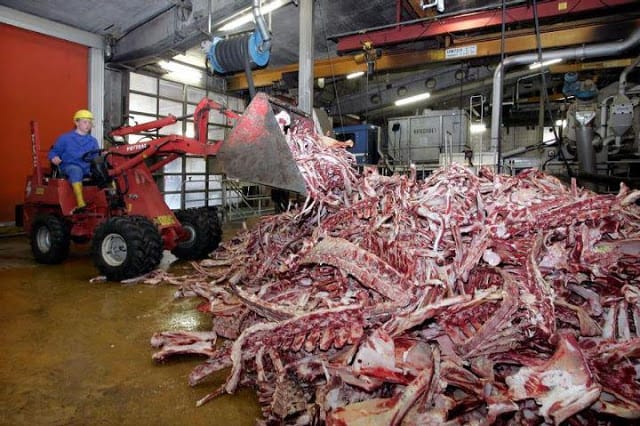 Separatorenfleisch-erlesene-Reste-fuer-die-Allgemeinheit-nur-das-Beste-Fleischindustrie-Gammelfleisch