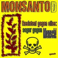 Genmais MonsantoD Gen Food Gift EU Atomkrieg in europa Verbrechen Konzernpolitik