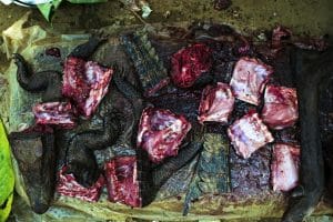 US-Patent auf biblische Plage, Ebola elaboriert Buschfleisch bushmeat affenfleisch afrika wildfleisch allesfresser ebola virus uebertragung