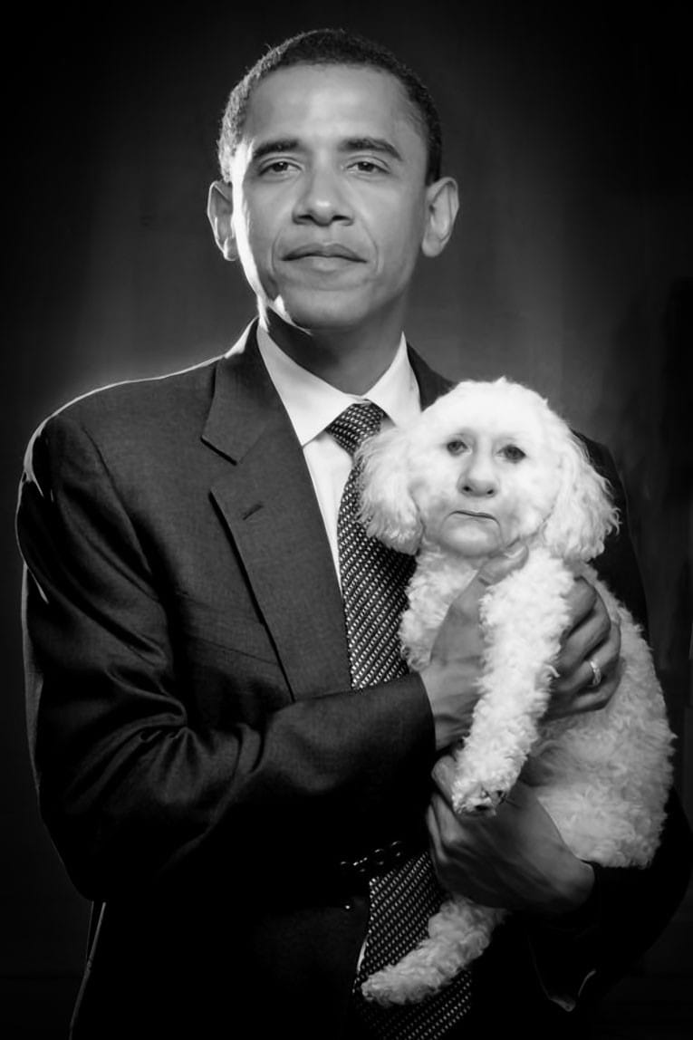 Barack-hussein-obama-merkel-bulldog-german-war-poodle-hells-angela-Kampfhund