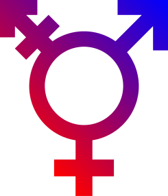 transgender mann frau weib flintenweib zielgenau umbau der gesellschaft symbol geschlechtsmerkamal gleichmacherei qpress