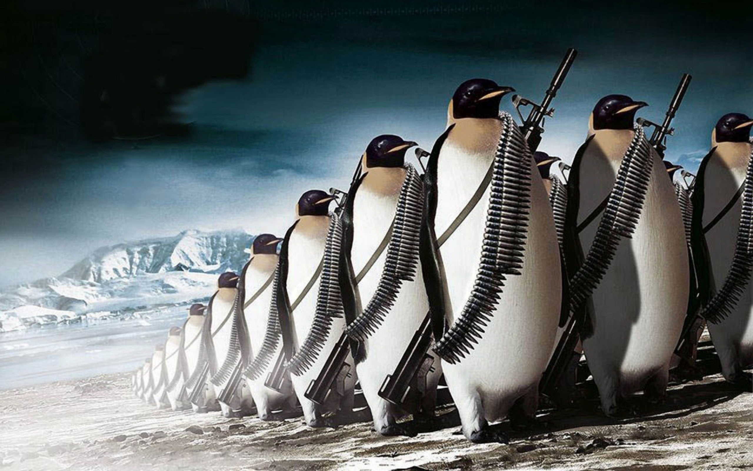 AS Terror Milizen In der Antarktis startender Marschlug Pinguin auf den Weg in die USA bedrohung der nationalen Sicherheit