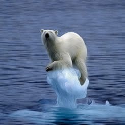 Polarbaer eisbaer suedpol klimawandel synonym Heiligtum klimareligion Klimaschwindel Klimabruderschaft Klima Luege Betrug co2 Ablasshandel ersatzreligion