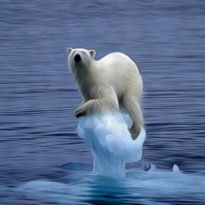 Schneller Klimawandel Polarbaer eisbaer suedpol klimawandel synonym Heiligtum klimareligion Klimaschwindel Klimabruderschaft Klima Luege Betrug co2 Ablasshandel ersatzreligion