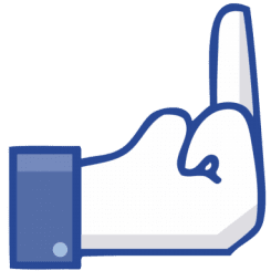 Facebook Fakebook dislike button stinkefinger qpress