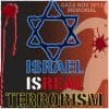 ISRAEL ISREAL TERROR palestine unrecht terrorismus unterdrueckung ungleichbehandlung besetzung