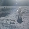 Sonne Mond und Katze Mondlandung Hoax USA Fake NASA NSA Beweismittelvernichtung