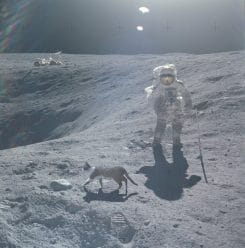 Sonne Mond und Katze Mondlandung Hoax USA Fake NASA NSA Beweismittelvernichtung