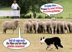 Um Gottes Willen Hermann Verschwoerungstheorie Schafe Hund Schaefer Mann kolaboration