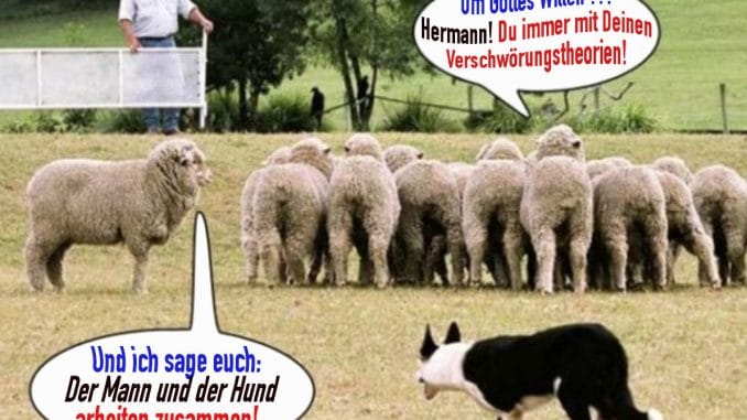 Um Gottes Willen Hermann Verschwoerungstheorie Schafe Hund Schaefer Mann kolaboration