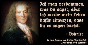 Deutschland soll wieder Denunziantenstadl werden Voltaire - Ich mag verdammen, was du sagst, aber ich werde mein Leben dafuer einsetzen, dass du es sagen darfst