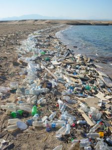 Bis 2050 mehr wertvolles Plastik als ungenießbarer Fisch in den Ozeanen