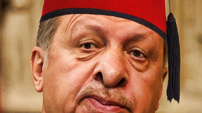 erdogan despot diktator ziegenhirte machtergreifung praesidialdemokratie tuerkei tuerke wahlbetrueger in oel
