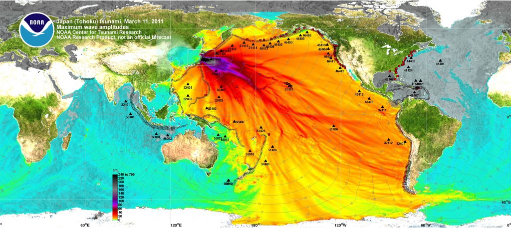 Dank Fukushima … nie wieder Fisch essen