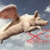 poor pigs dont fly sau di s wings