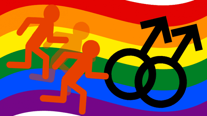 gayflagfarbigbuntregenbogenflaggeersatzdeutschlandfahneeughfluchtursache
