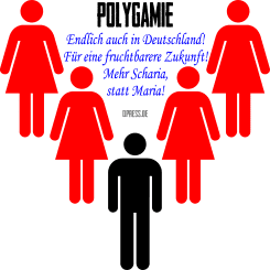 polygamie polygamy made easy harem kultur scharia 01