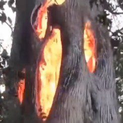 waldbrand in kalifornien 2017 natur schlaegt zurueck wehrt sich gegen den menschen