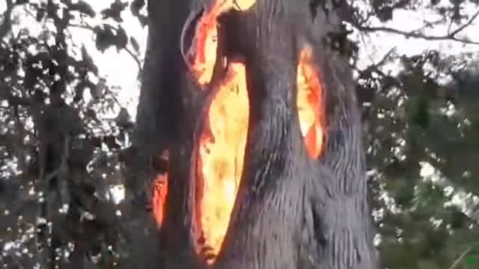 waldbrand in kalifornien 2017 natur schlaegt zurueck wehrt sich gegen den menschen