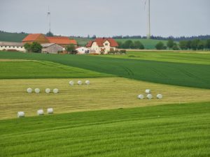 Extensive Rundballenhaltung schont Bayerns Weiden