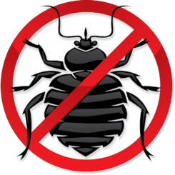 bug free insektenfrei mobilfunk strahlen schaden biomasse gefahr