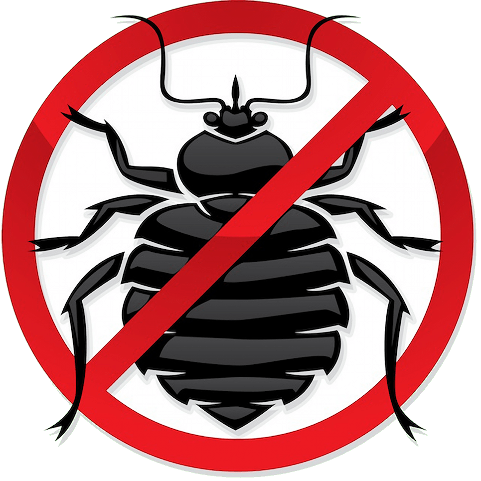 bug free insektenfrei mobilfunk strahlen schaden Biomasse Gefahr