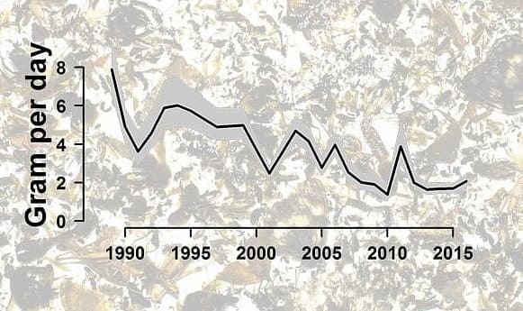 Insektengewicht-Biomasse-Insekten-Abnahme-1990-2015