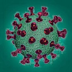 corona virus gift infektion pandemie