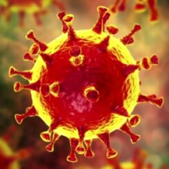 Unwirksamer Impfstoff gegen das Coronavirus