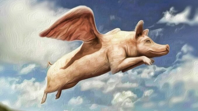 fliegende sau schwein mythen wahrheiten