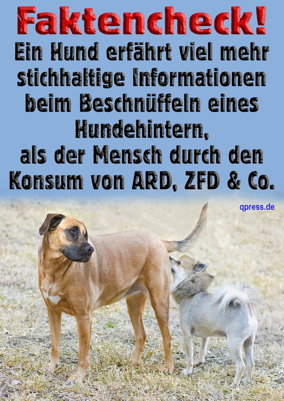 Hund schnueffeln Information fakten Informationsgehalt qpress