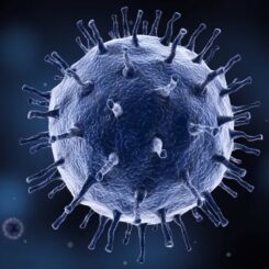 virus das schlimme erreger pandemie modell virtuell nie gesehen
