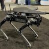 der schiessende hund vierbeiner von ghost robotics schiesshund toetungsautomat