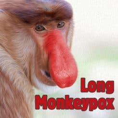 nasenaffe long monkeypox affenpocken