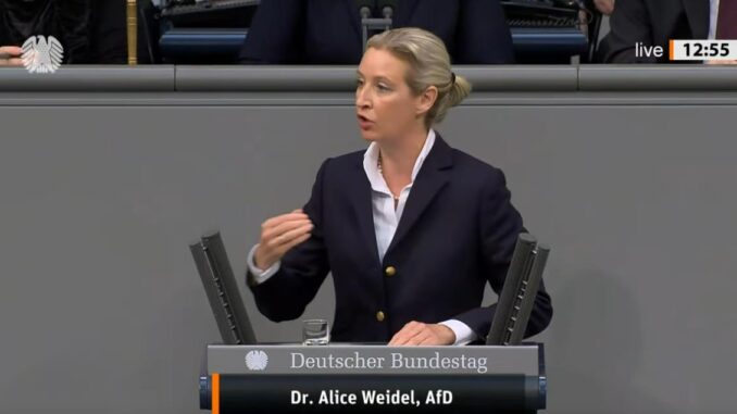 alice weidel bundestag