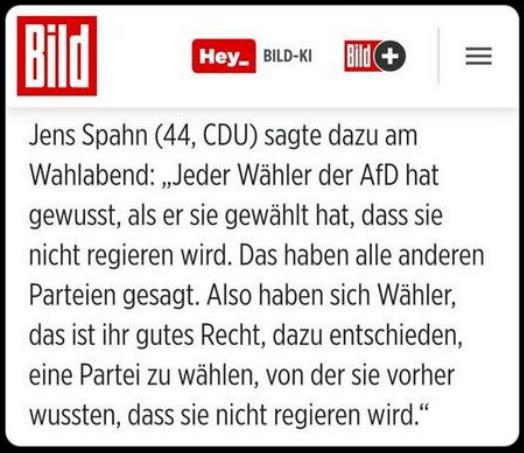 spahn afd wahl